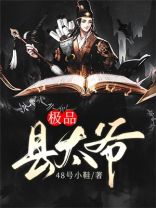 极品县太爷小说阅读
