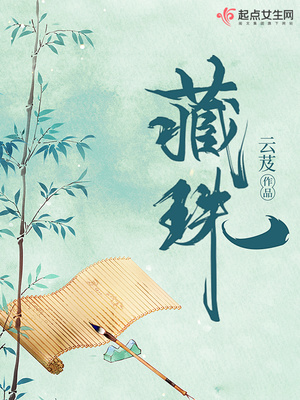 藏珠简介