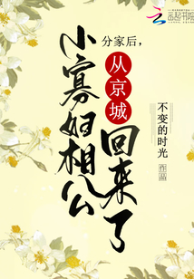 分家后,小寡妇相公从京城回来了全