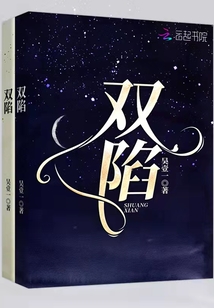 双陷小说全文免费读