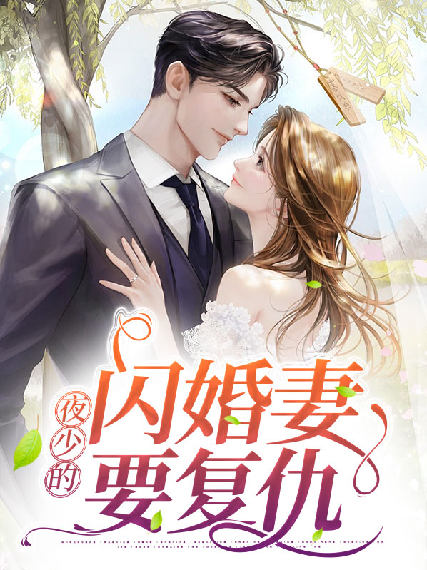 夜少的二婚宠妻免费阅读