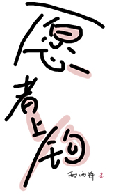 愿者上钩陈雾宴为炽