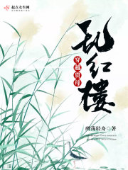 穿越红楼贾母的小说带简介