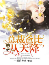 总裁爸比从天降TXT下载