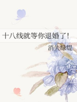 十八线就等你退婚了TXT下载 百度网盘