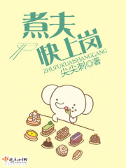 煮夫的小说