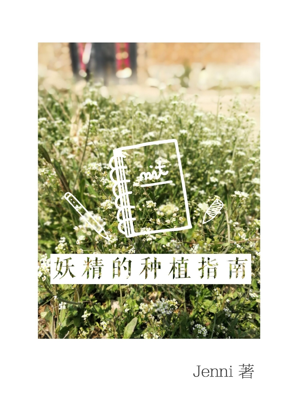 妖精的种植指南txt