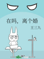 在吗,离个婚小说王三九