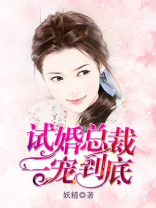 试婚总裁一宠到底 小说