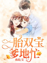 一胎双宝爹地忙最新