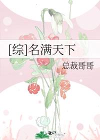 综名满天下 百度网盘