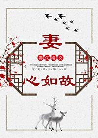 妻心如故 在线阅读