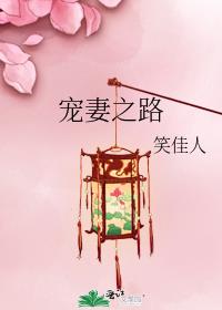 宠妻之路全文免费阅读无弹窗
