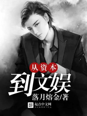 与资本争斗的文娱小说