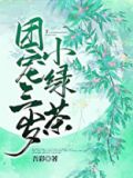 团宠三岁小绿茶小说