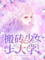 搬砖少女上大学续写
