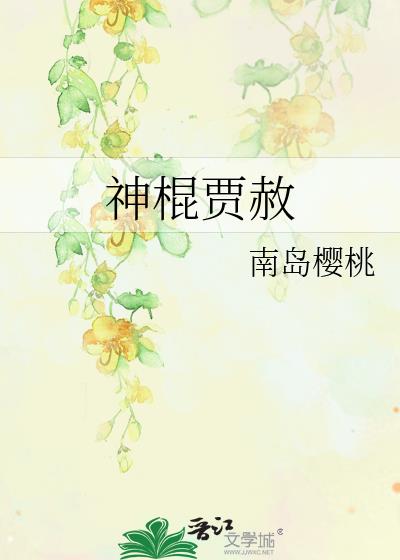 神棍贾赦