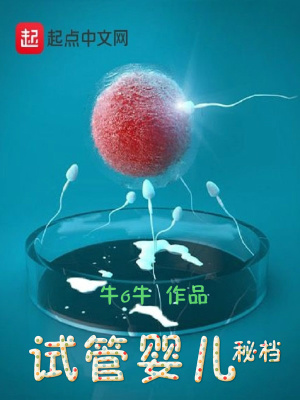 试管婴儿秘档小说
