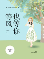 等风也等你的上一句