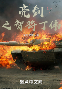 亮剑之智将丁伟txt
