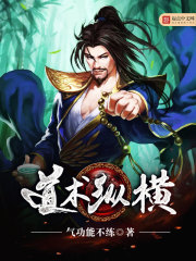 道器纵横全集