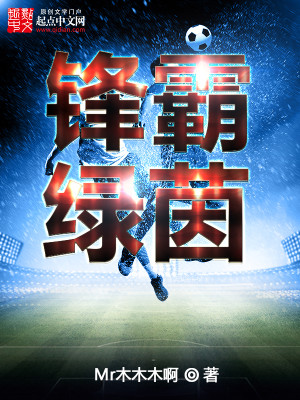 锋霸绿茵三部分