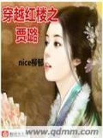 穿越红楼贾璐的小说