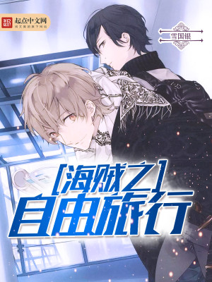 海贼之旅行商人 小说