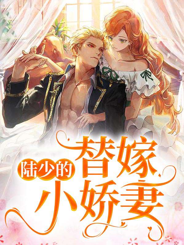 陆少的替嫁小娇妻讲的是什么