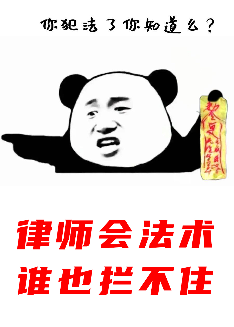 律师会法术谁也拦不住免费