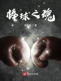 职业棒球之魂2013