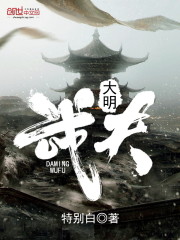 大明武夫优书网