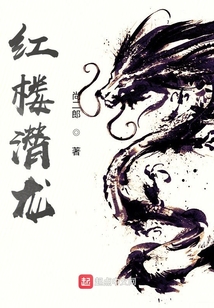红楼潜龙怎么样