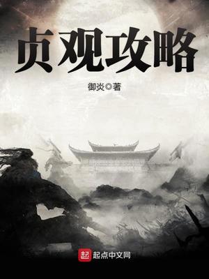 贞观攻略txt