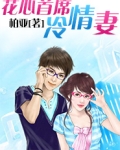 花心总裁冷情妻