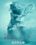 网王：冰临天下