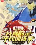 精灵：我真的是平民训练家
