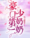 豪门第一少奶奶 小说