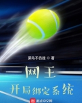 网王:开局绑定领袖系统!