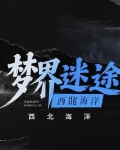 梦境迷途制作多少钻