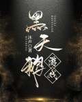 黑天鹅游戏