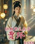 红楼之庶子贾环评论