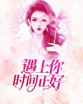 《遇见你时岁月正好》