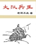 大汉兵王小说免费阅读