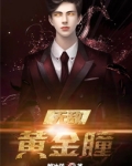 无敌黄金眼小说