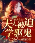 狐夫在上：夫人被迫学驱鬼