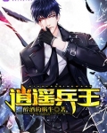 逍遥兵王