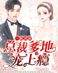 一胎双胞：总裁爹地宠上瘾 