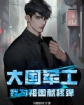 我为国造出核聚变免费