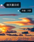 晓暮小说